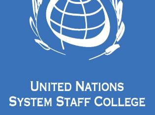 Стажування в галузі безпеки у структурах ООН