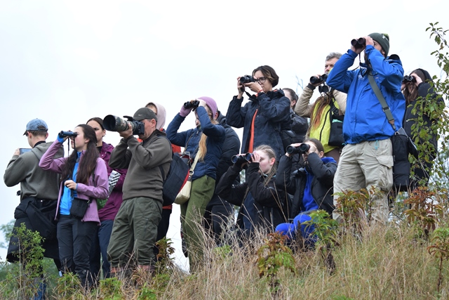 Спостереження за міграцією птахів на Лисій горі.JPG