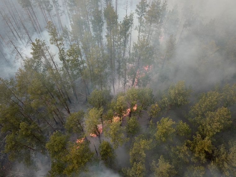 Пожежа в Чорнобильському радіаційно-екологічному біосферному заповіднику Пожежа в Чорнобильському радіаційно-екологічному біосферному заповіднику