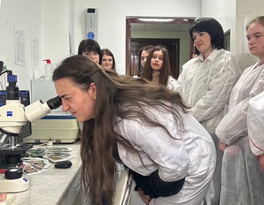   Студентка Н. Вальорна вивчає карантинного шкідника вузькозлатку ясеневу смарагдову.jpg