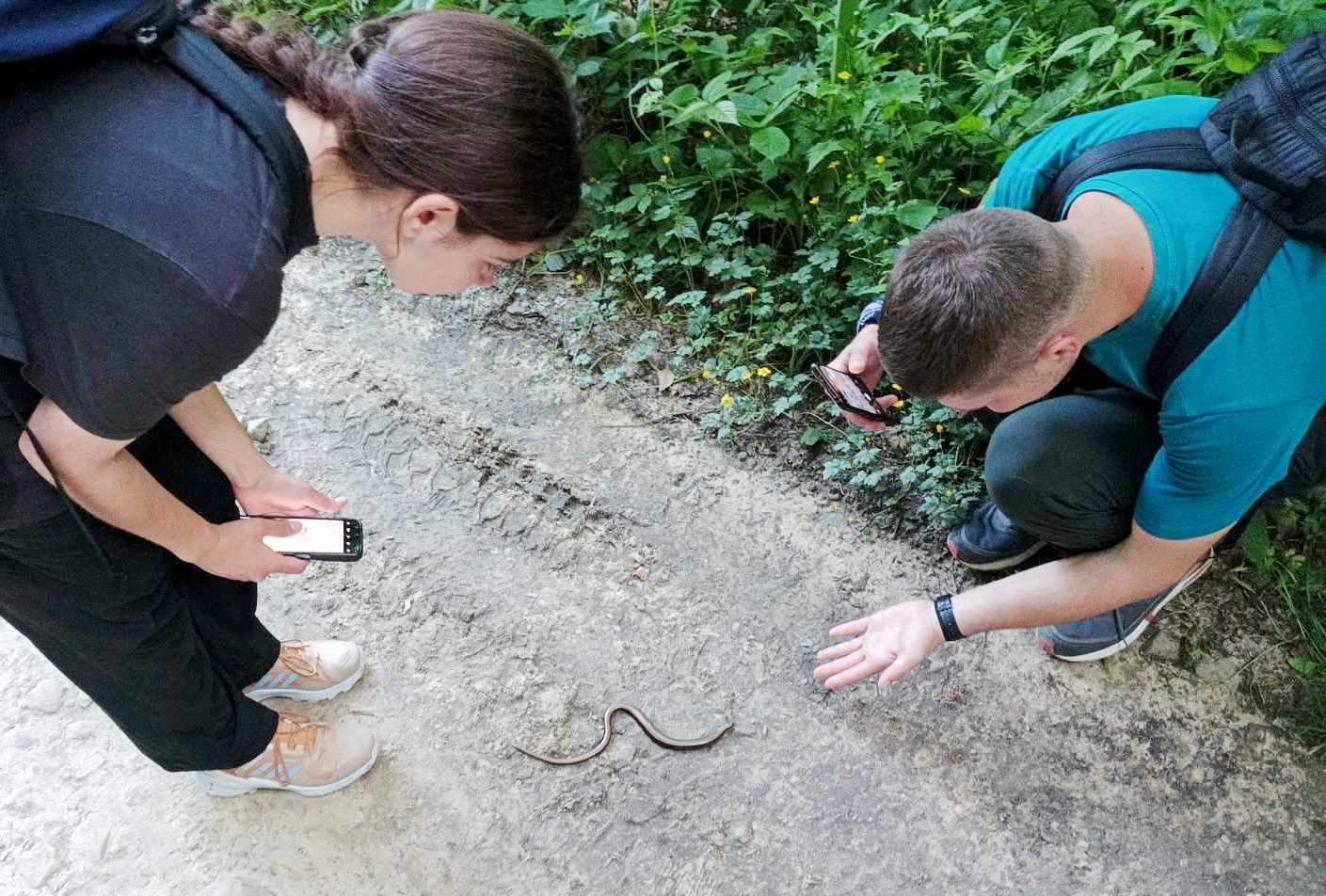  Дослідження фауни НПП Карпатський на екологічній стежці До водоспаду Дівочі сльози.jpg