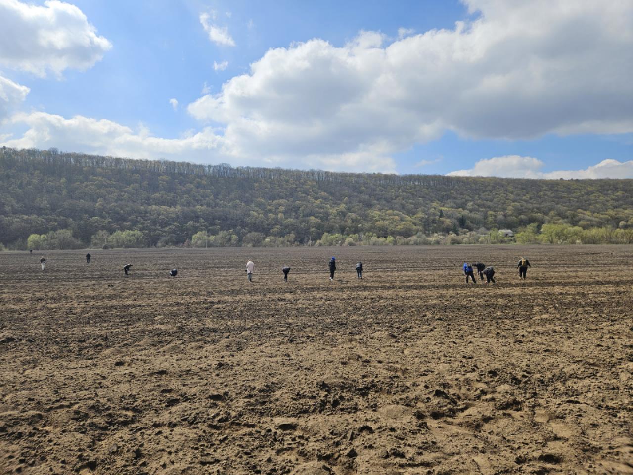 Пошук артефактів.jpg