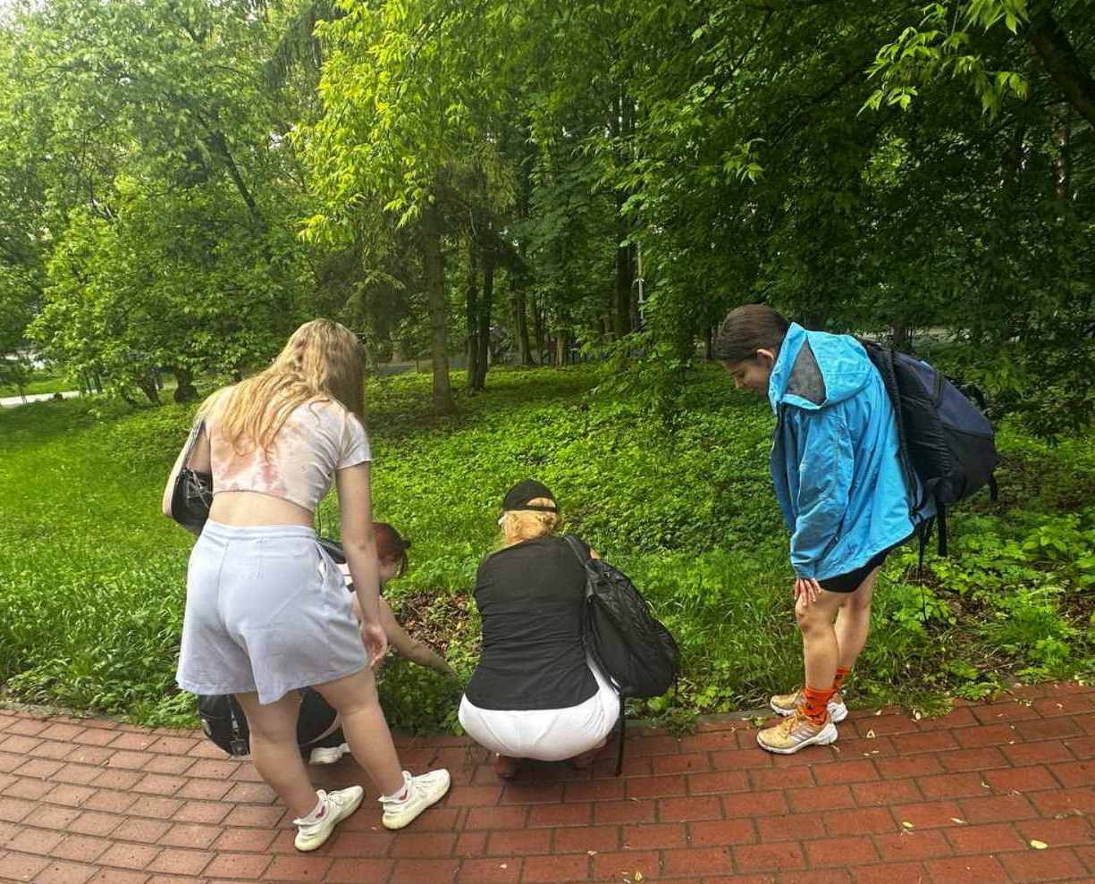 Дослідження флори парку.jpg