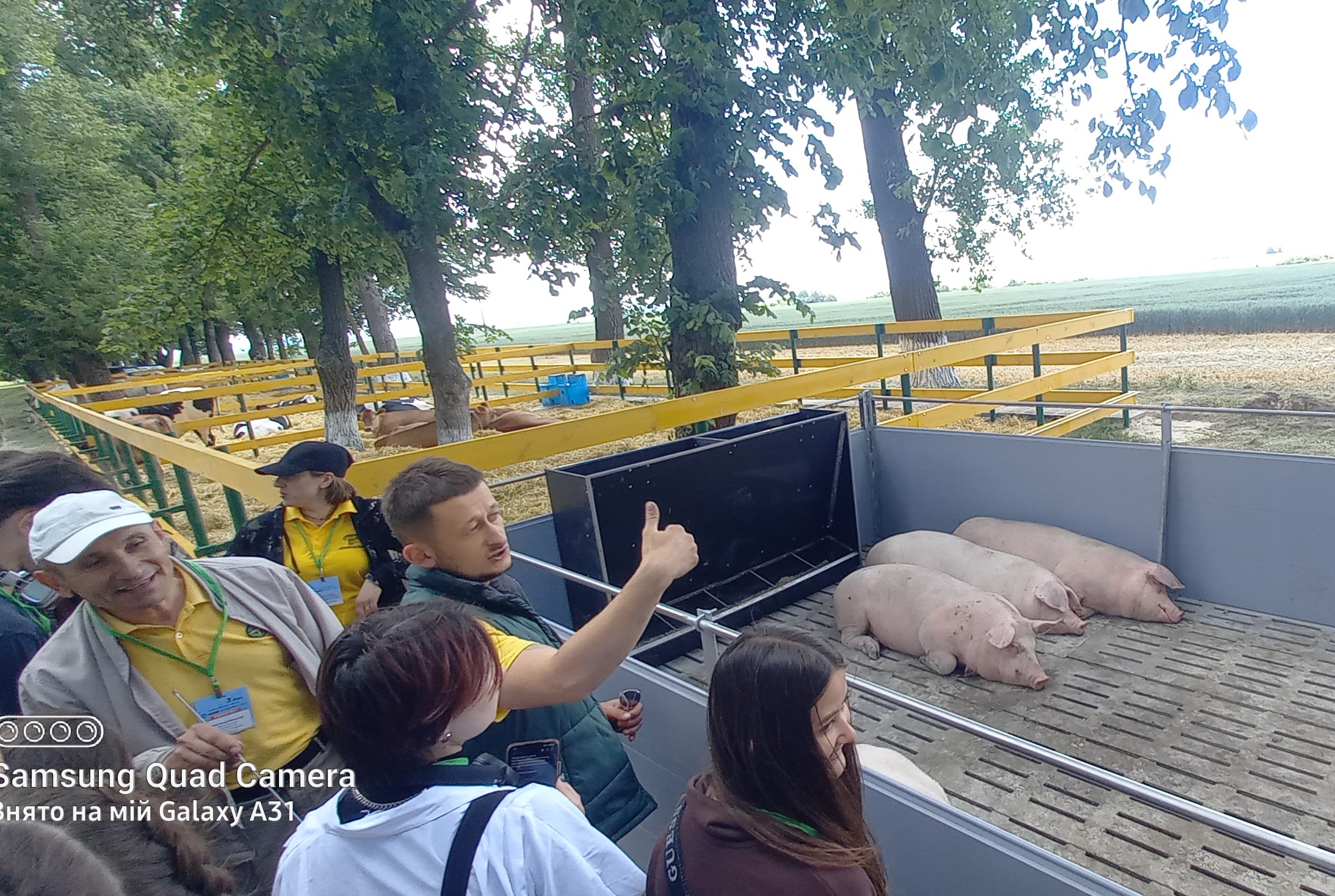 Ознайомлення з особливостями вирощування,годівлі та розведення свиней в ОВ «Агропродсервіс».jpg