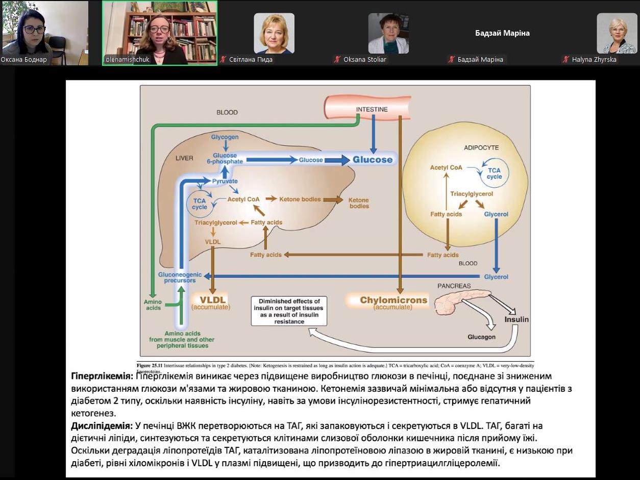 Олена Міщук про метаболічний синдром.jpg