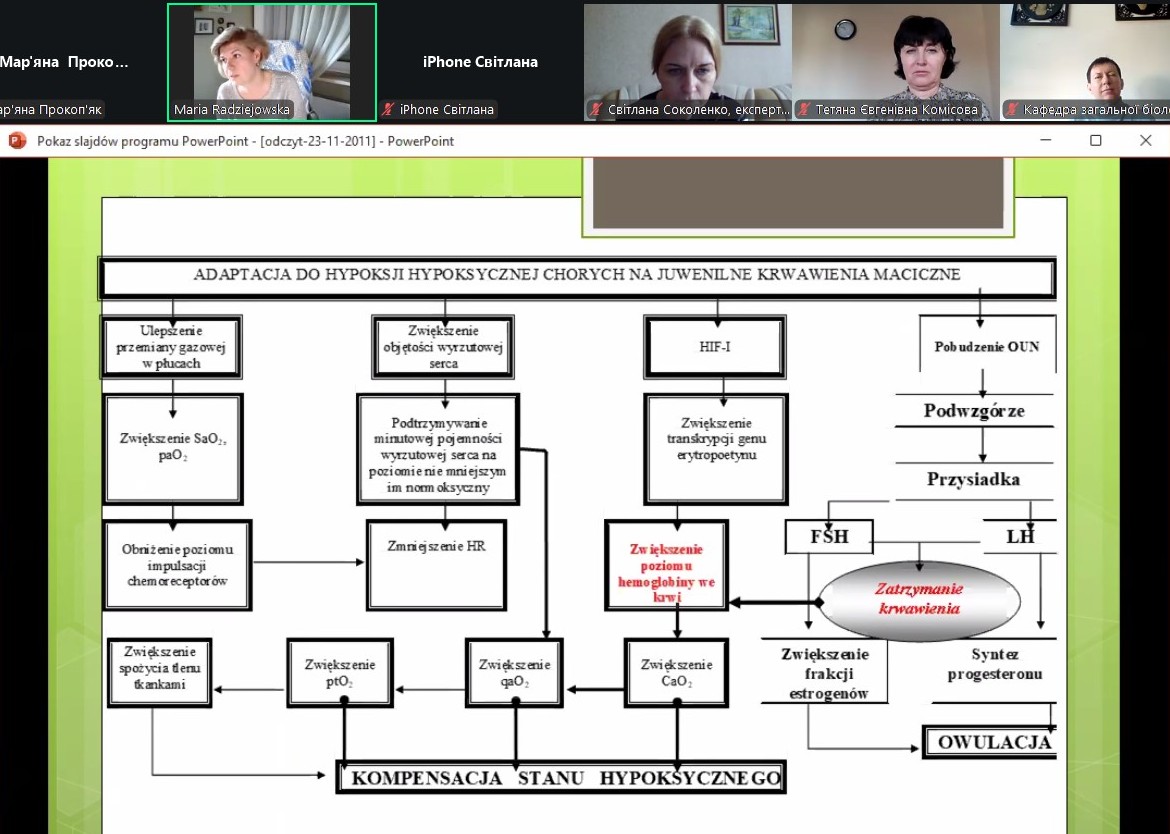  Схема адаптації до гіпоксії