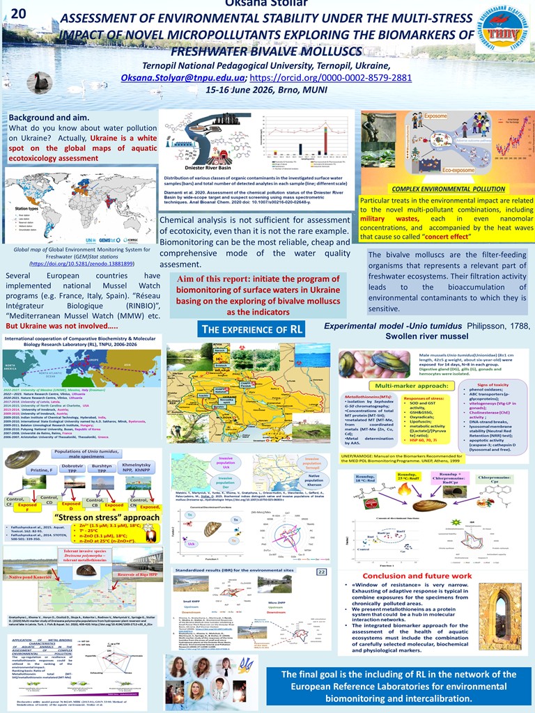 Постер, який знайомить  з результатами та відображає потенціал нашої команди