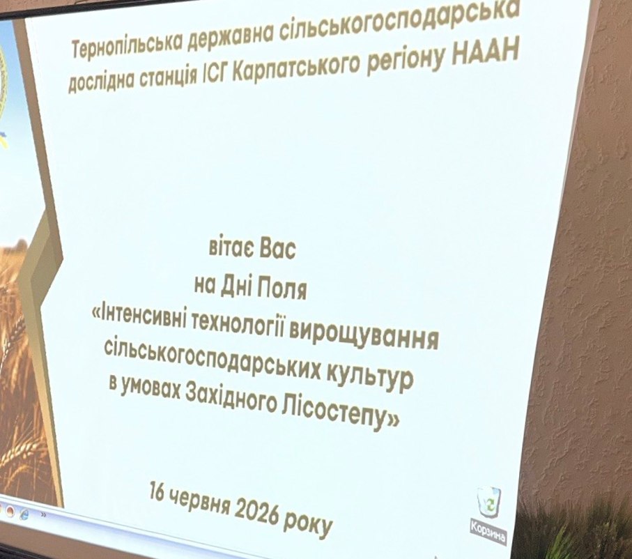  Презентація