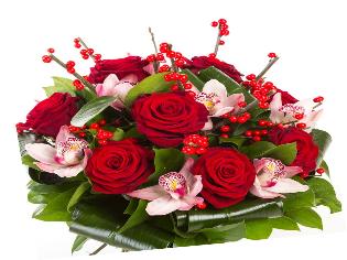 На адресу ТНПУ ім.В.Гнатюка надходять вітання