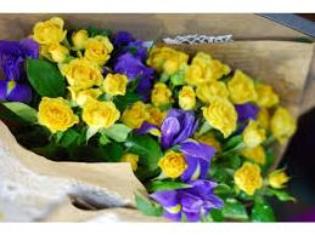 Вітаємо студенток ТНПУ з призначенням іменних стипендій Верховної ради України! 