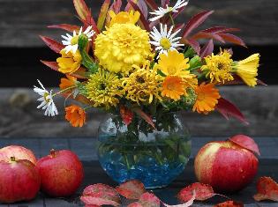 Ювіляр з ТНПУ ім.В.Гнатюка отримав відзнаку міської ради 