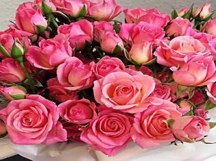 Вітаємо викладача ТНПУ ім.В.Гнатюка   з почесним званням!