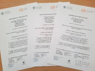 Virtual exchange 2025 у ТНПУ (ФОТО)