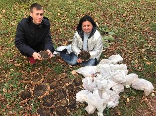 Триває успішна співпраця хіміко-біологічного факультету ТНПУ з компанією «Контінентал Фармерз Груп»