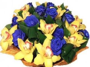 ТНПУ ім.В.Гнатюка щиросердечно вітає професора Василя Васильовича Грубінка!