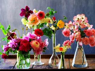 Науковці хіміко-біологічного факультету  ТНПУ ім.В.Гнатюка  отримають  Премію Верховної Ради України