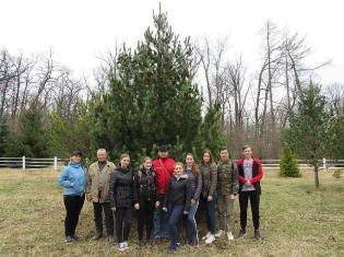 ЗМІ про нас. Студенти географічного факультету ТНПУ ім.В.Гнатюка висадили плантацію кедрів в Улашківському лісництві (ФОТО)