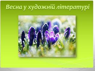 Поетичний березень на факультеті філології і журналістики ТНПУ (ФОТО)