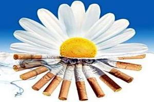 Міжнародний день відмови від паління