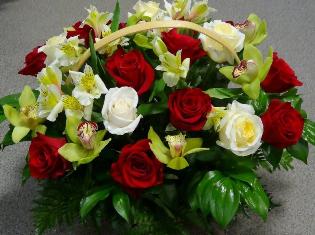 ТНПУ ім.В.Гнатюка щиро вітає колег з державними відзнаками!