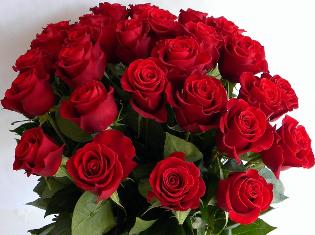 Колектив ТНПУ ім.В.Гнатюка вітає з Днем народження ректора проф. Б.Б.Буяка