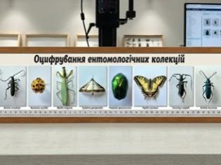 Цифрова наука в ТНПУ: оцифрування ентомологічних колекцій хіміко-біологічного факультету (ФОТО)