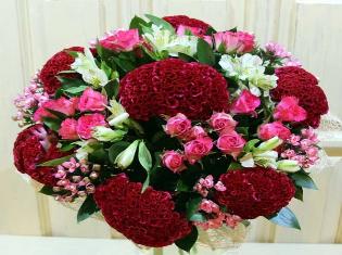 Магістрантка ТНПУ ім.В.Гнатюка  вирушає на чемпіонат світу з високим спортивним званням