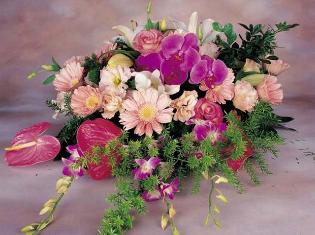 Наш «Педуніверситет-Енерго» визнано найкращою командою!